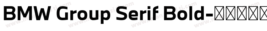 BMW Group Serif Bold字体转换